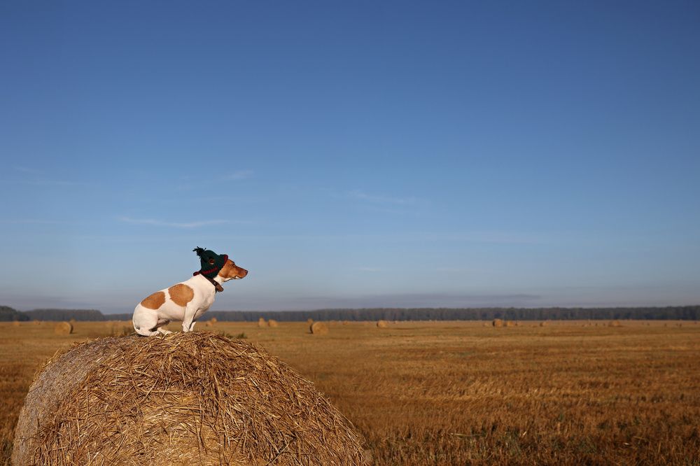 Photograph by Любовь Ершова