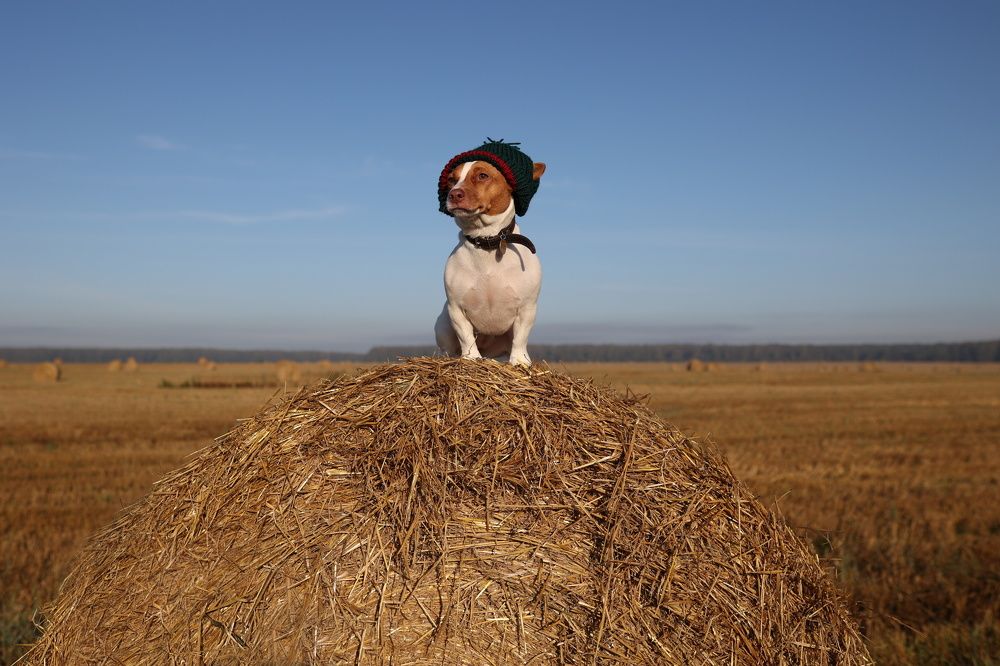 Photograph by Любовь Ершова