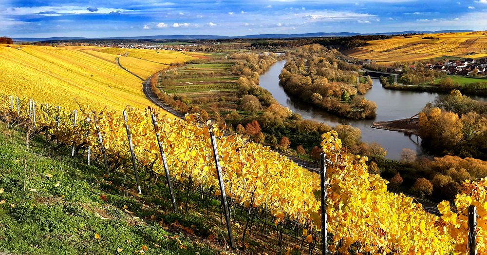 Фотография автора Meer GHERSBERG