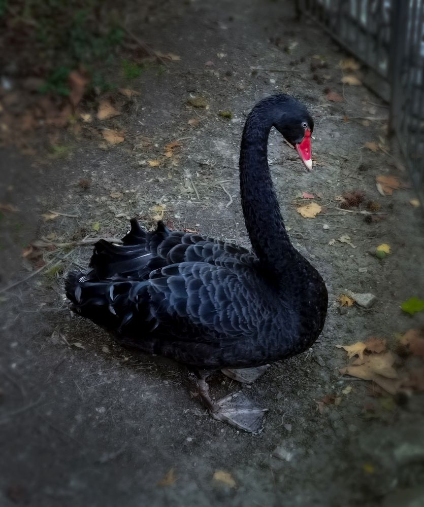 Photograph by Inna Ivanova