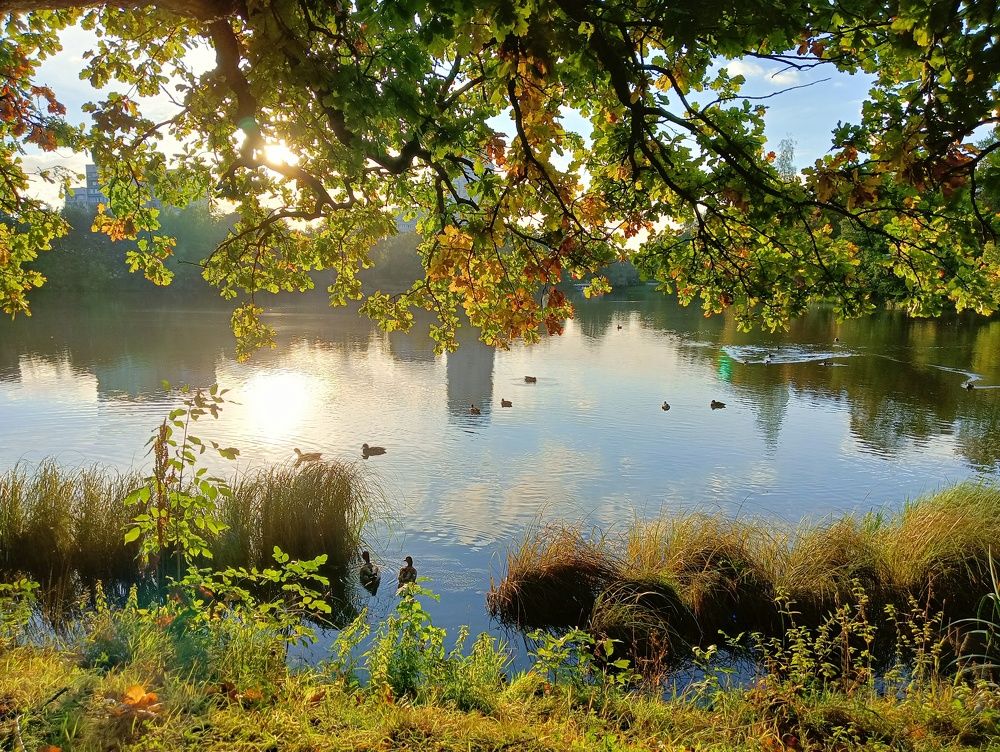 Photograph by Olga Smirnova