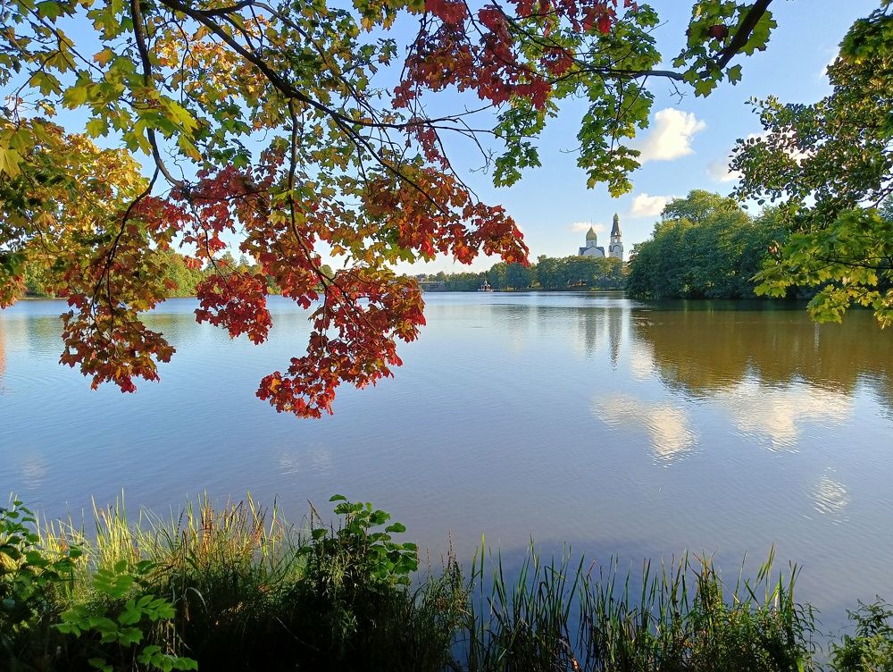 Photograph by Olga Smirnova