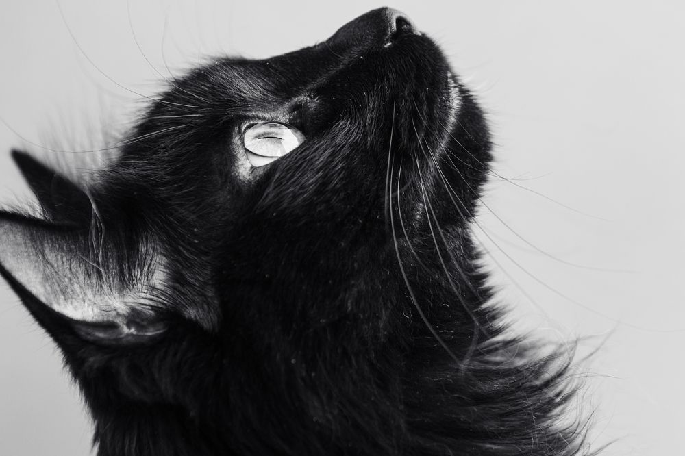 Photograph by Андрей Серый