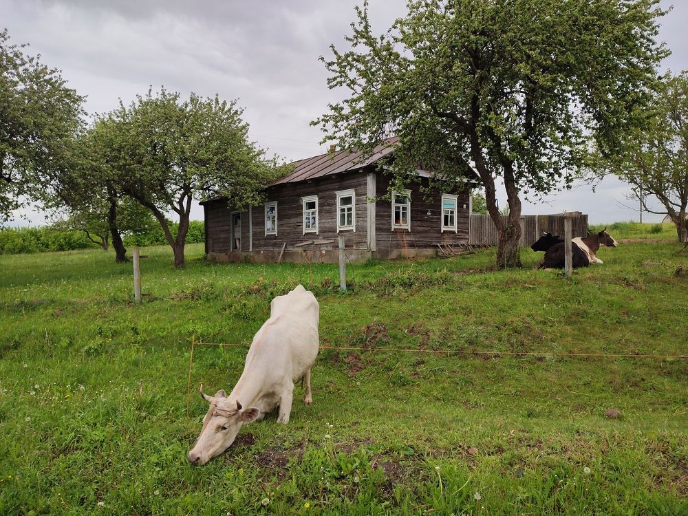 Photograph by Владимир Заборонок