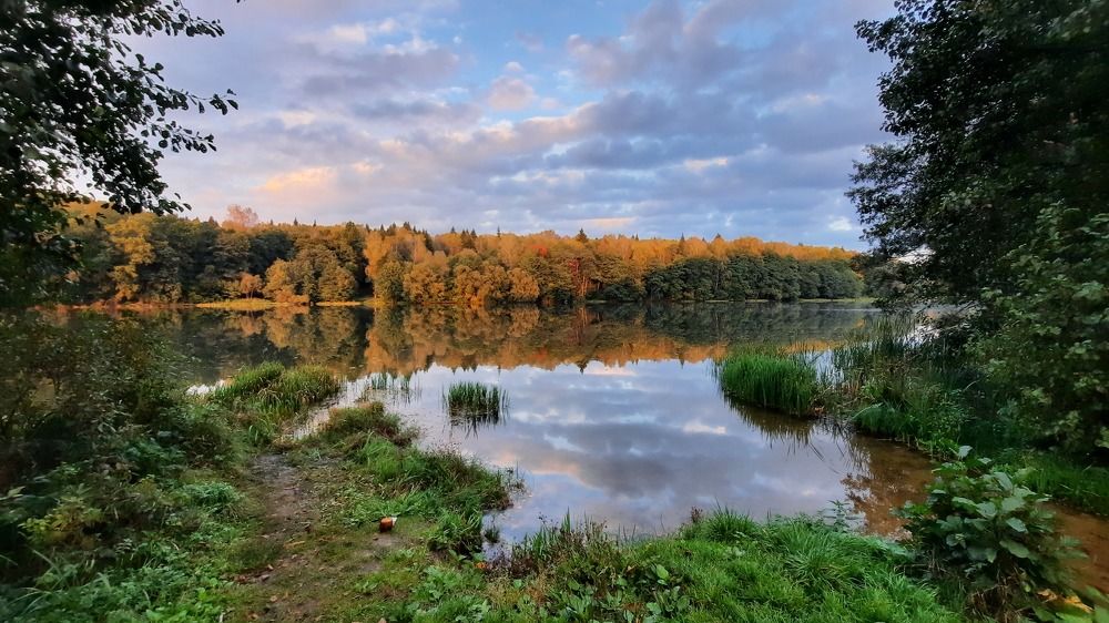 Photograph by Мирон Сергей