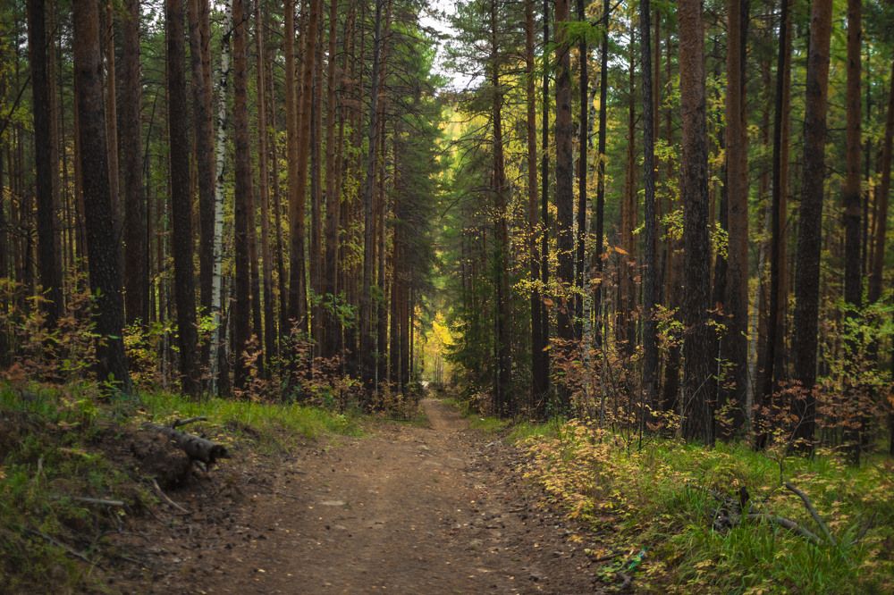 Photograph by Ванда