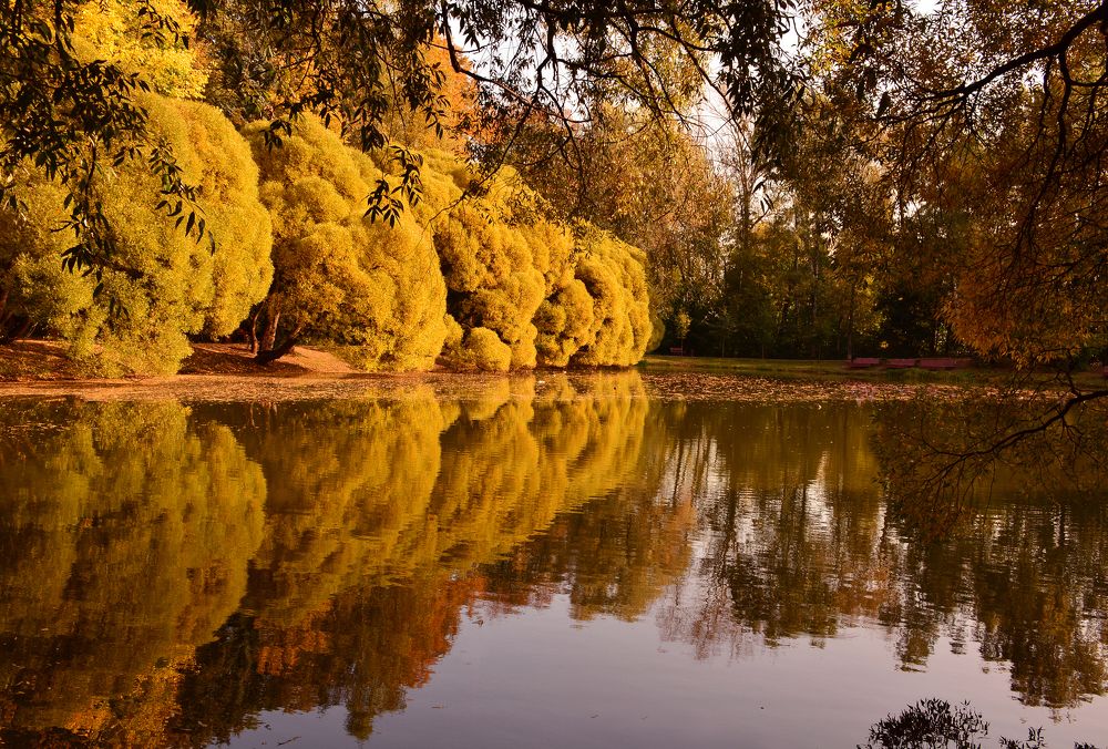 Photograph by Inna Ivanova