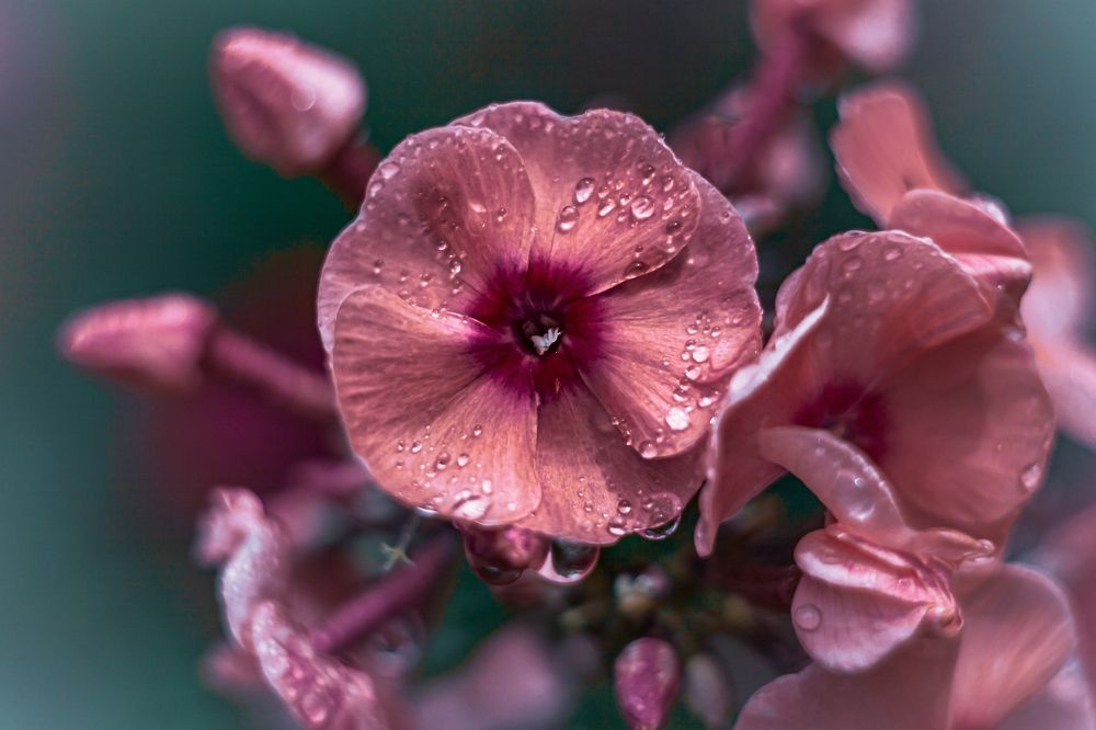 Photograph by Наталья Островцева