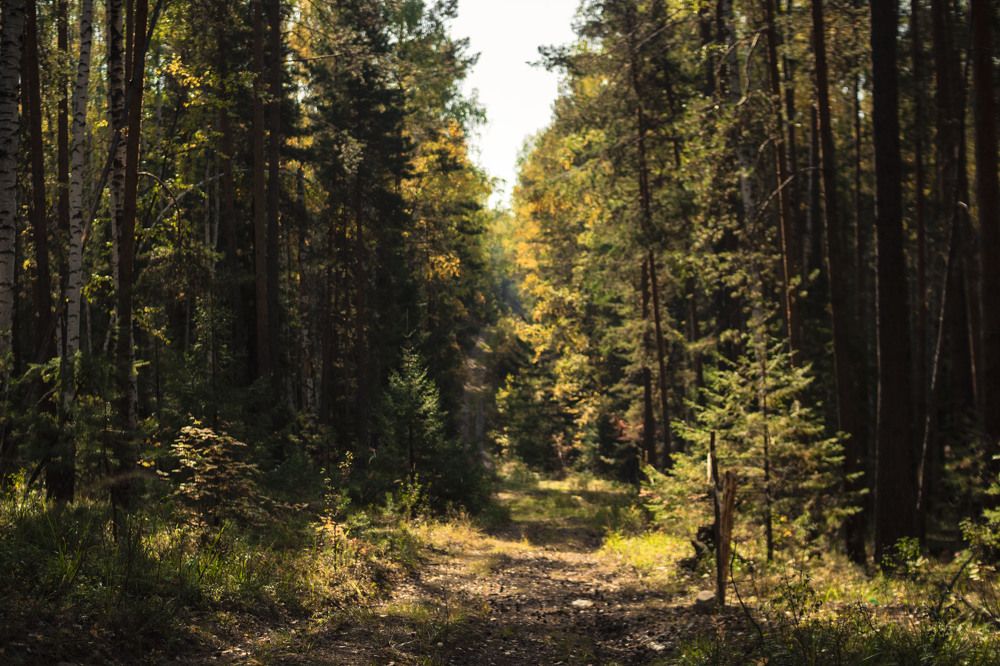 Photograph by Ванда