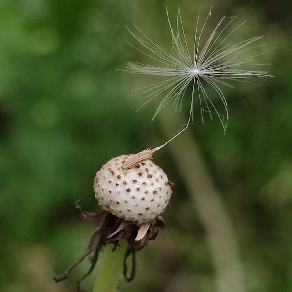 Photograph by Луиза Баширова