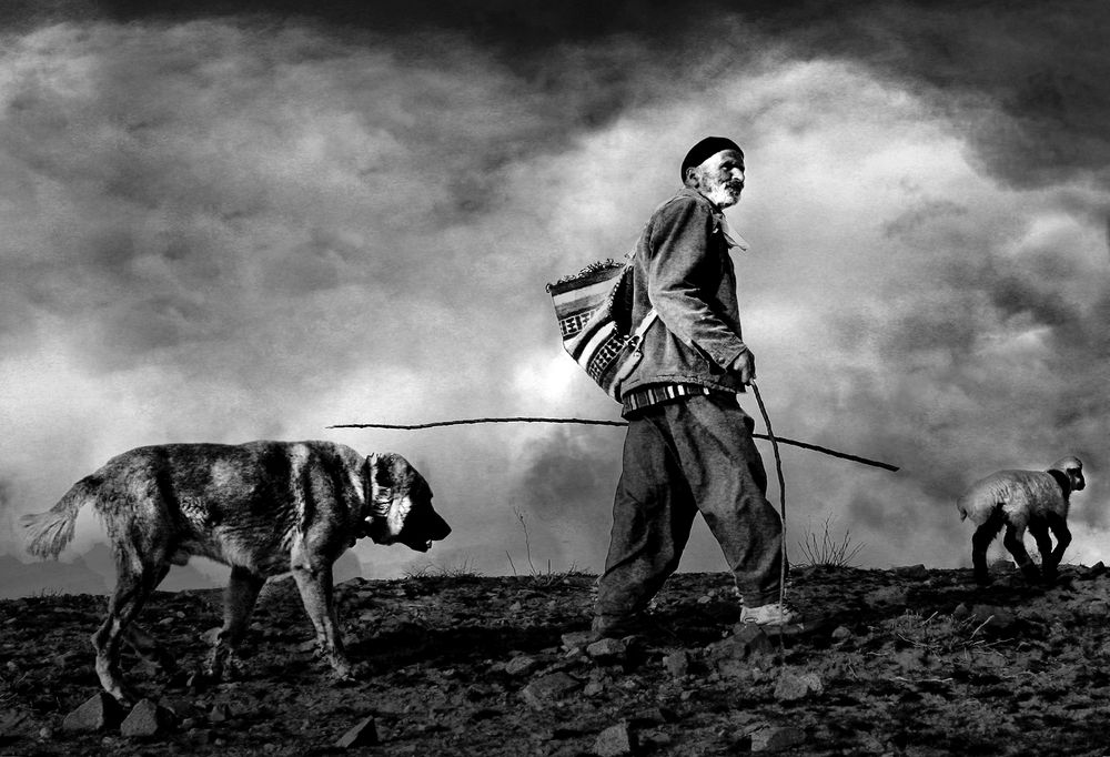 Photograph by Mahdi vagahri shorche