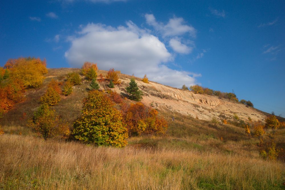 Photograph by Алла Никушкина