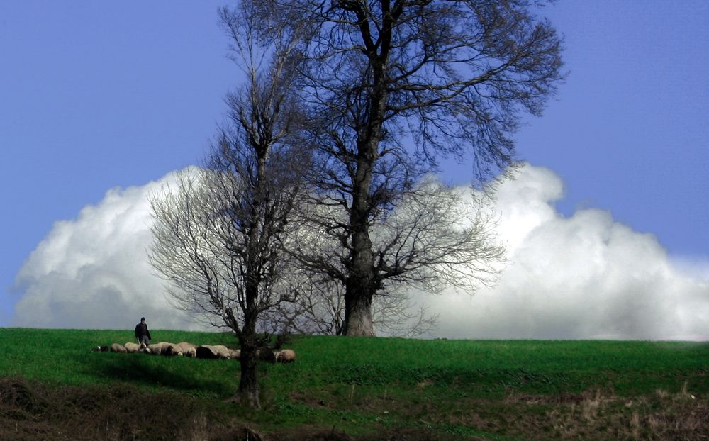 Photograph by Mahdi vagahri shorche