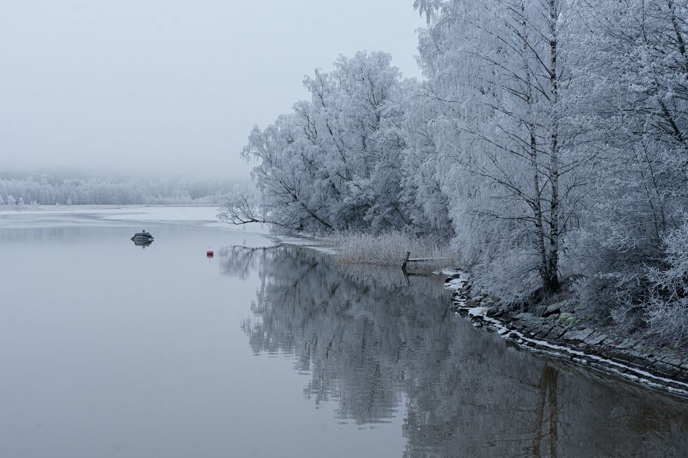 Фотография автора Julia A Caesar
