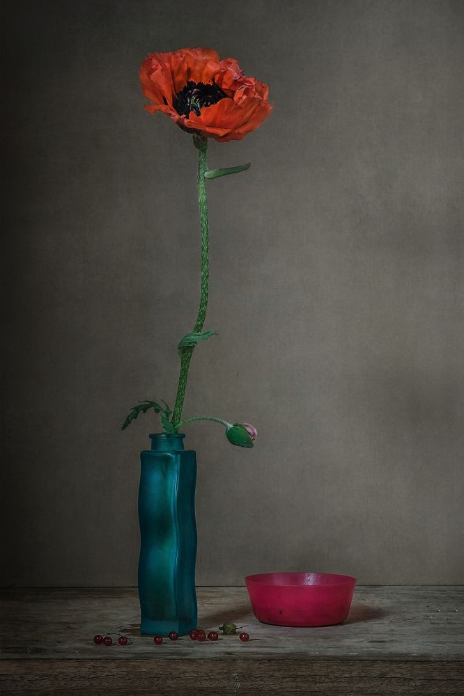 Фотография автора Анна Петина