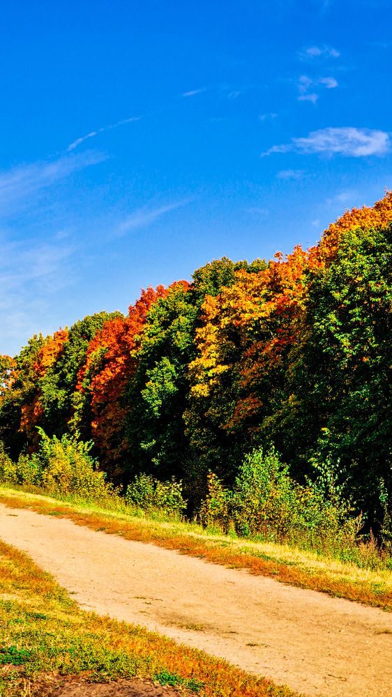 Фотография автора Всеволод Юрша