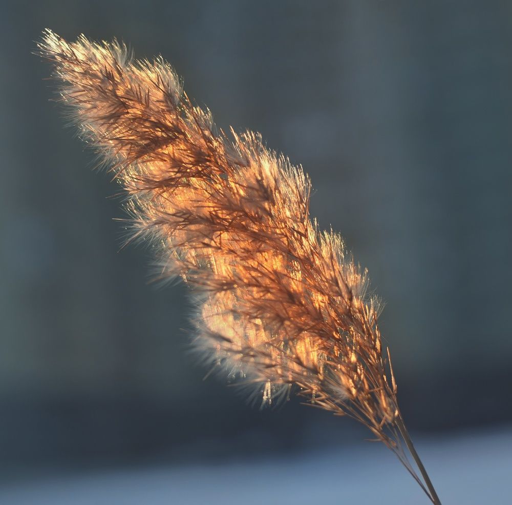 Фотография автора Альбина Хвастунова