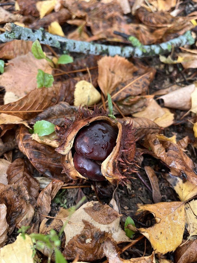 Photograph by Анастасия Стасевич