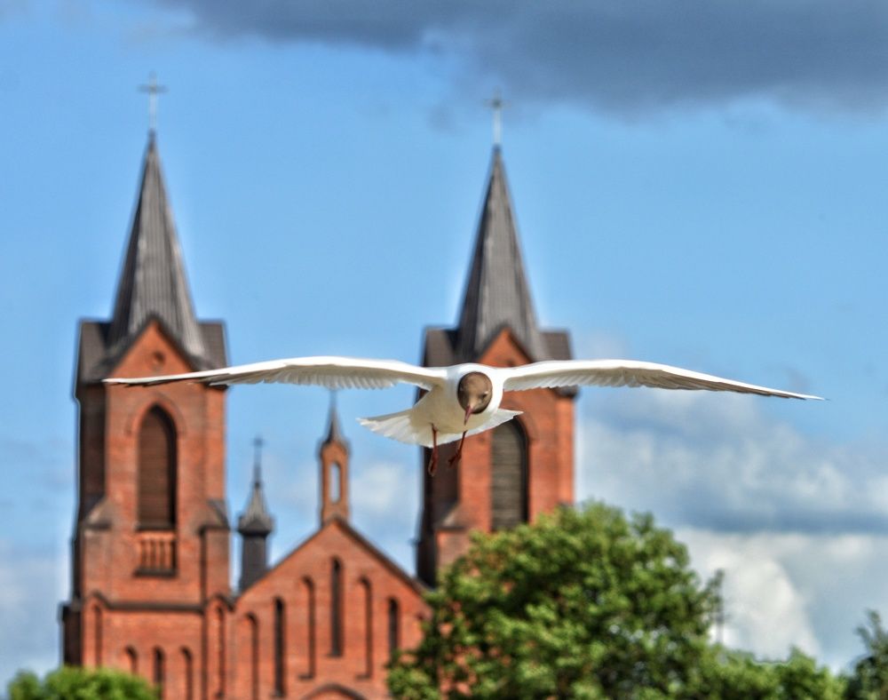 Пролёт над Миорами