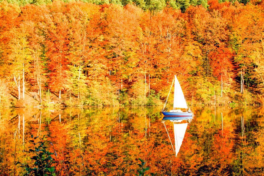 Photograph by Анжелика Костин