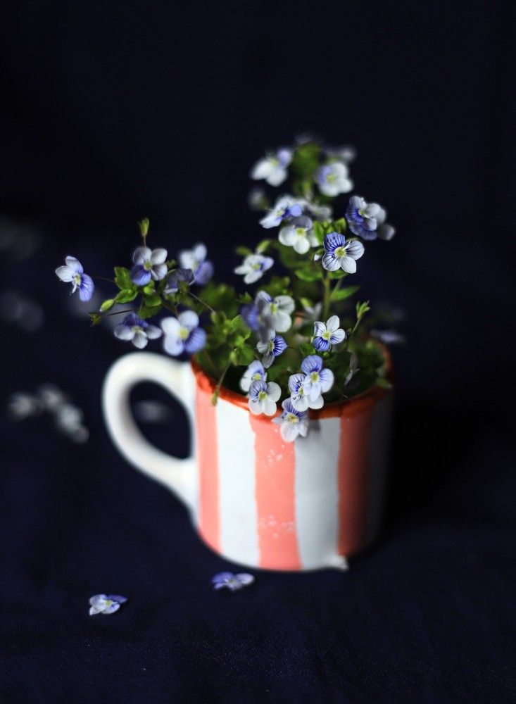 Photograph by Ася Радченко