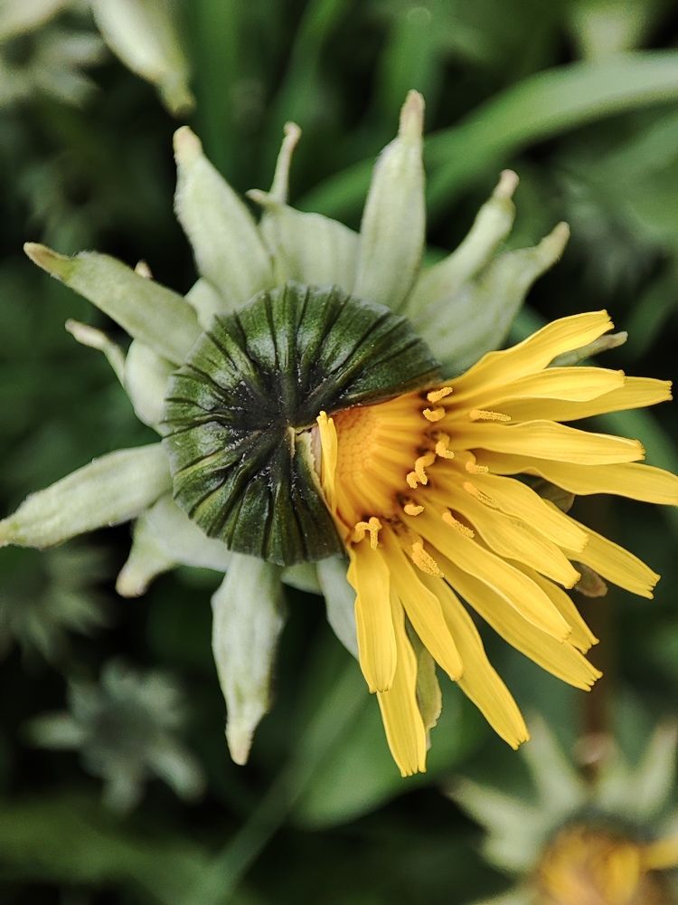 Photograph by Луиза Баширова