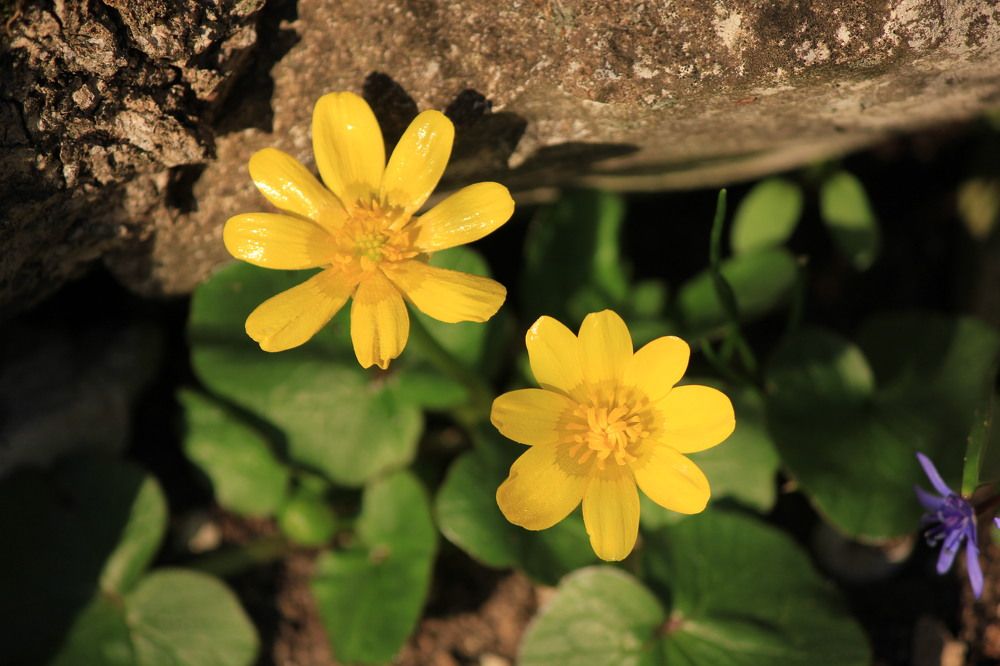 Photograph by Stepan