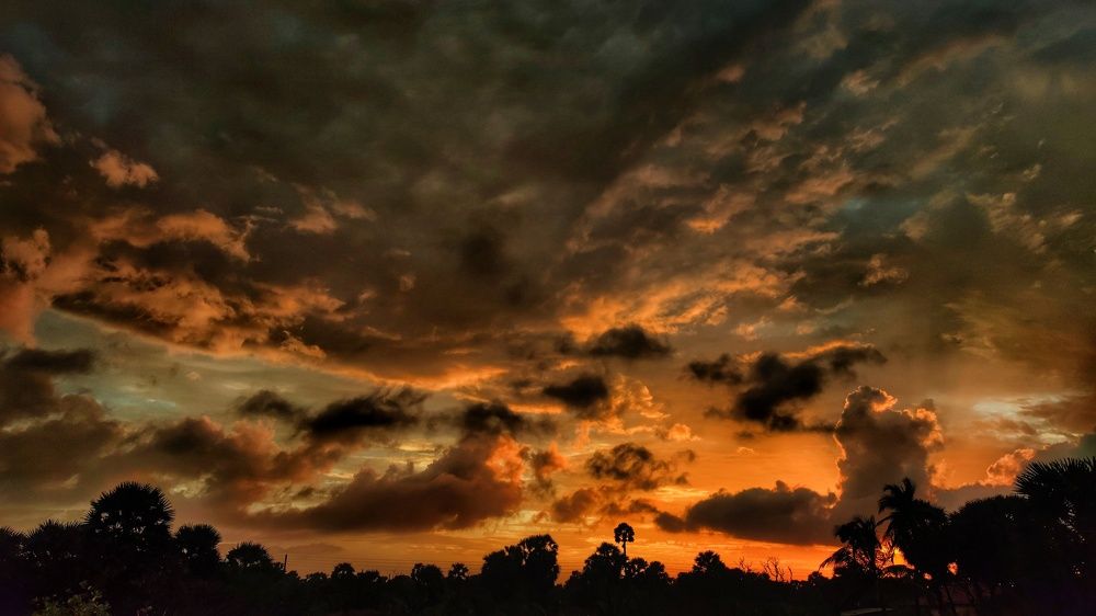 Photograph by Buddhika Dinuranga