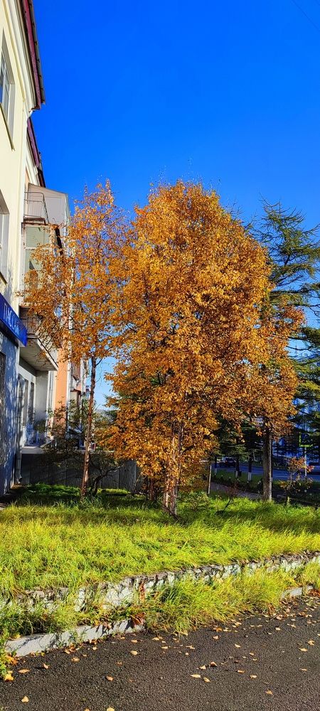 Photograph by Евгений Захаров