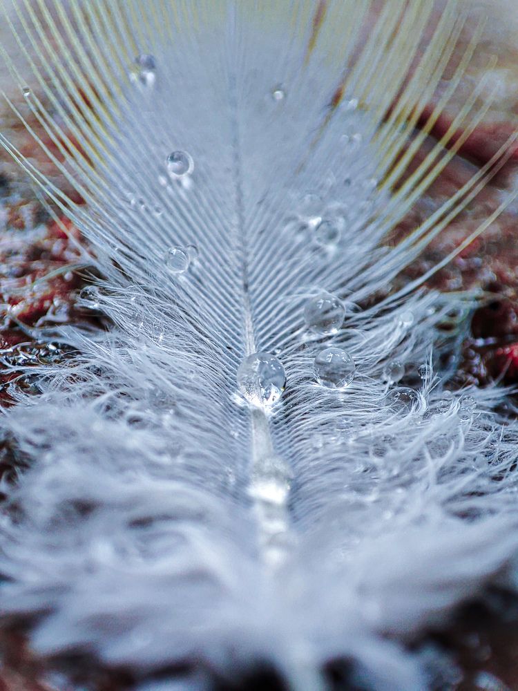 Photograph by Buddhika Dinuranga