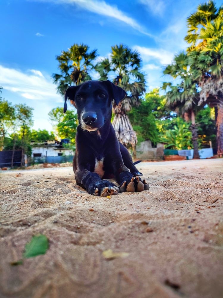 Photograph by Buddhika Dinuranga