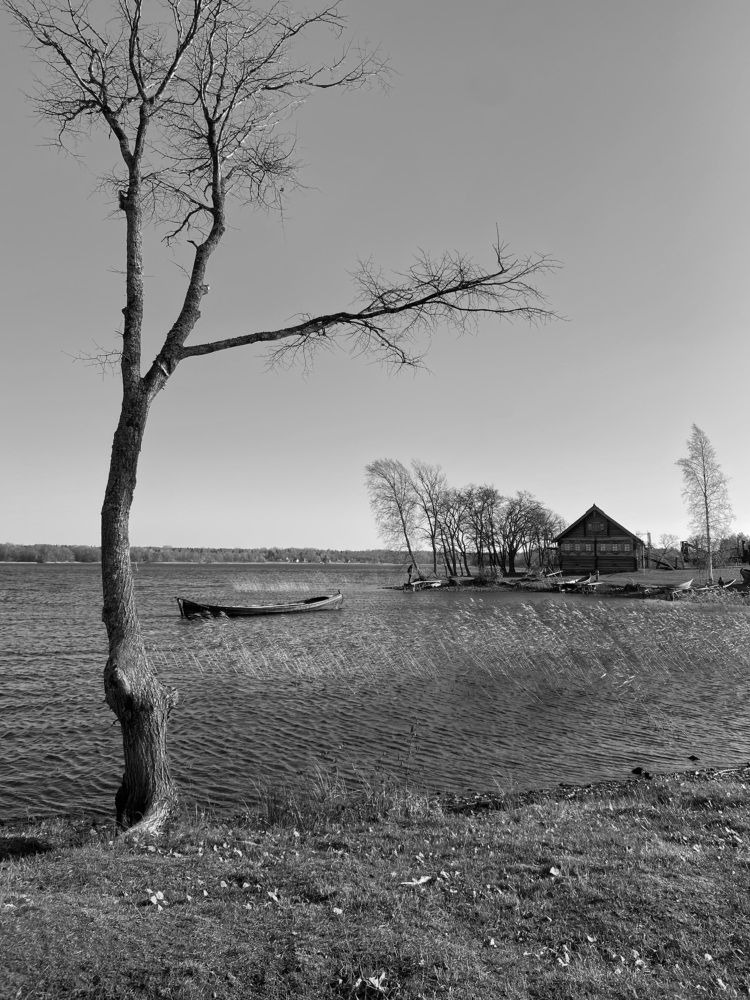 Photograph by Евгения