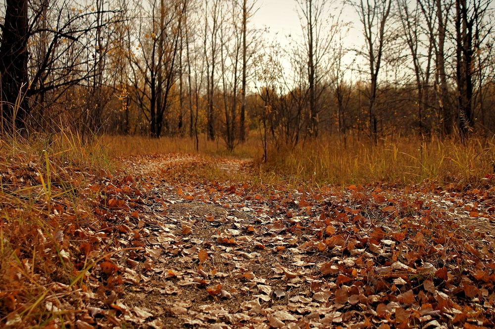 Photograph by Оксана Кабакова