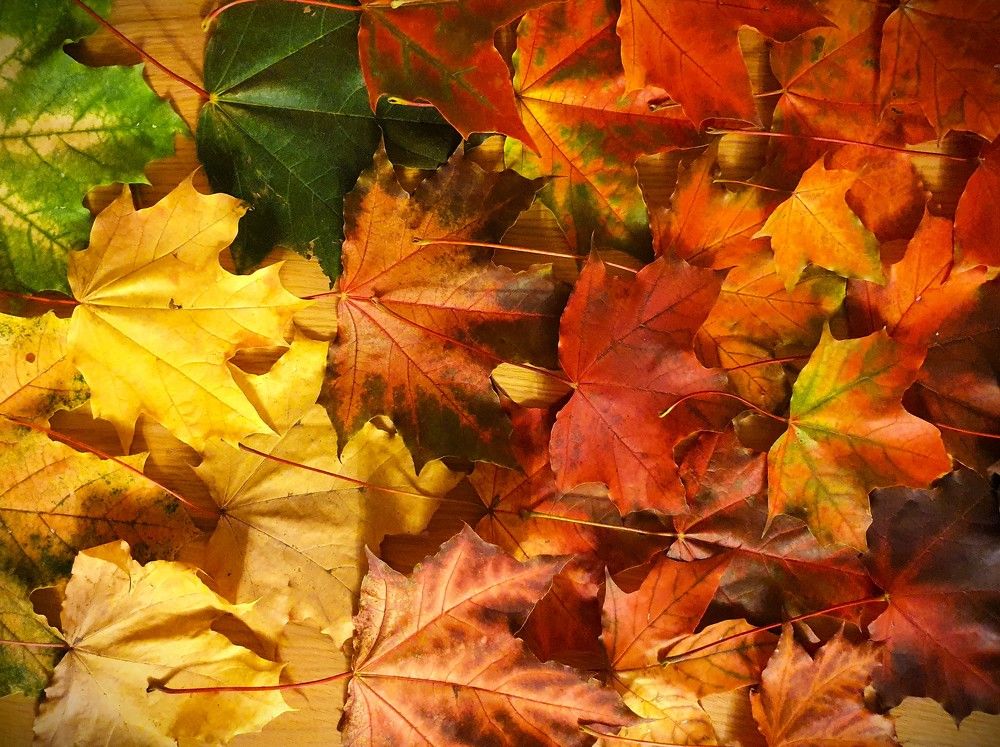 Photograph by Ева К