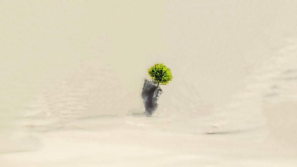 Solitude standing alone