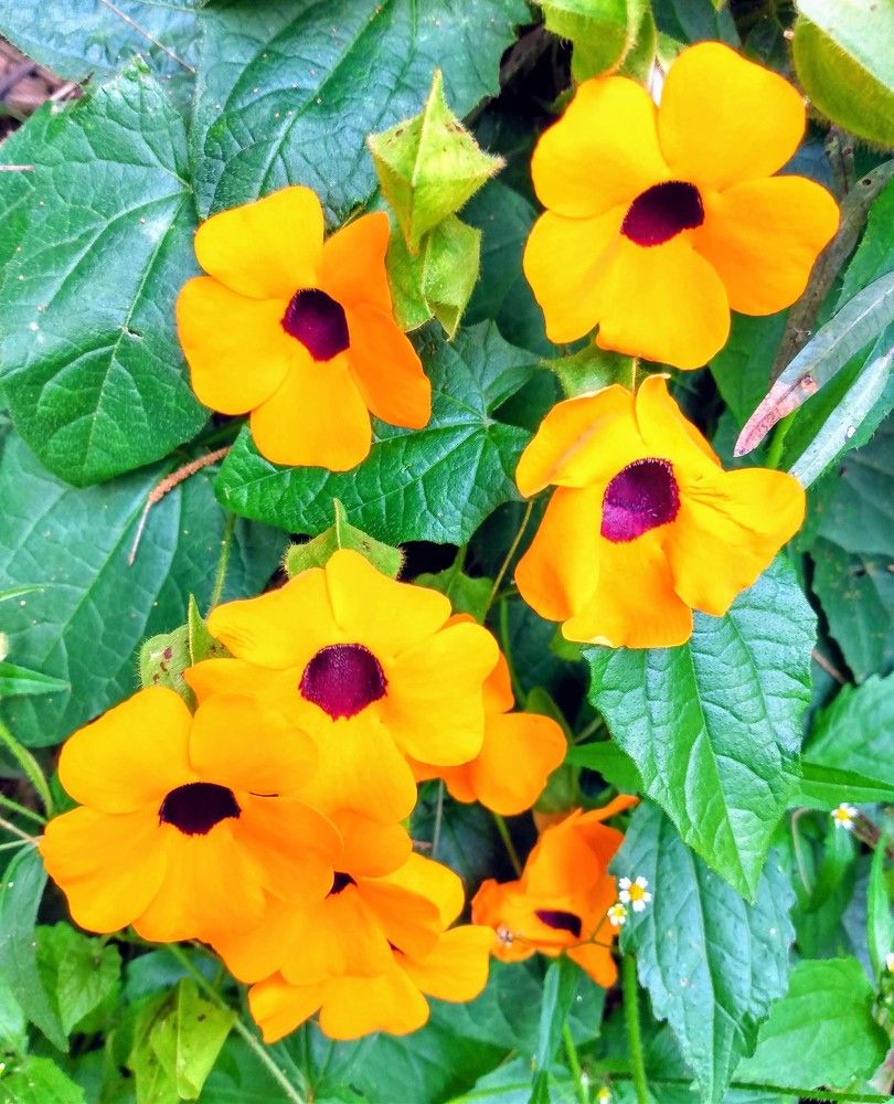 Photograph by José Luis Mendoza Machado