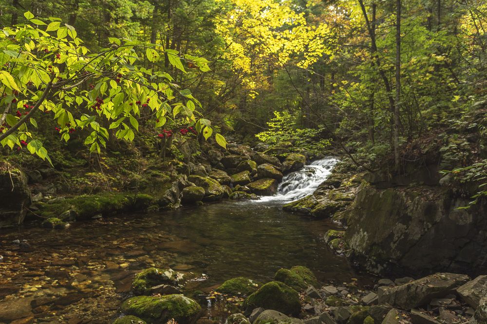 Photograph by ALEKSANDR KUZNETSOV