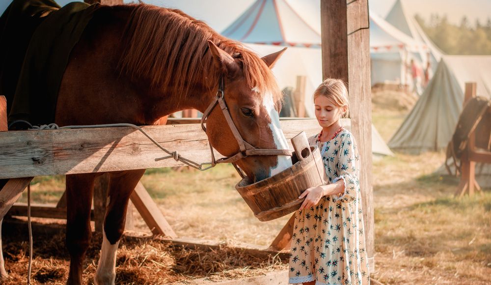 Feeding a horse