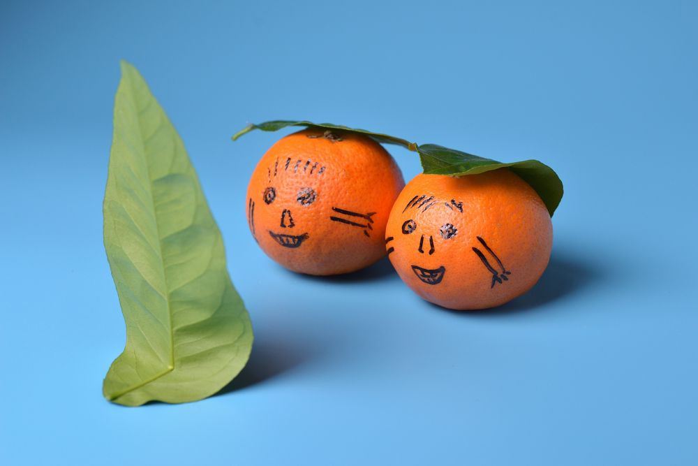 Photograph by Максим Мицун