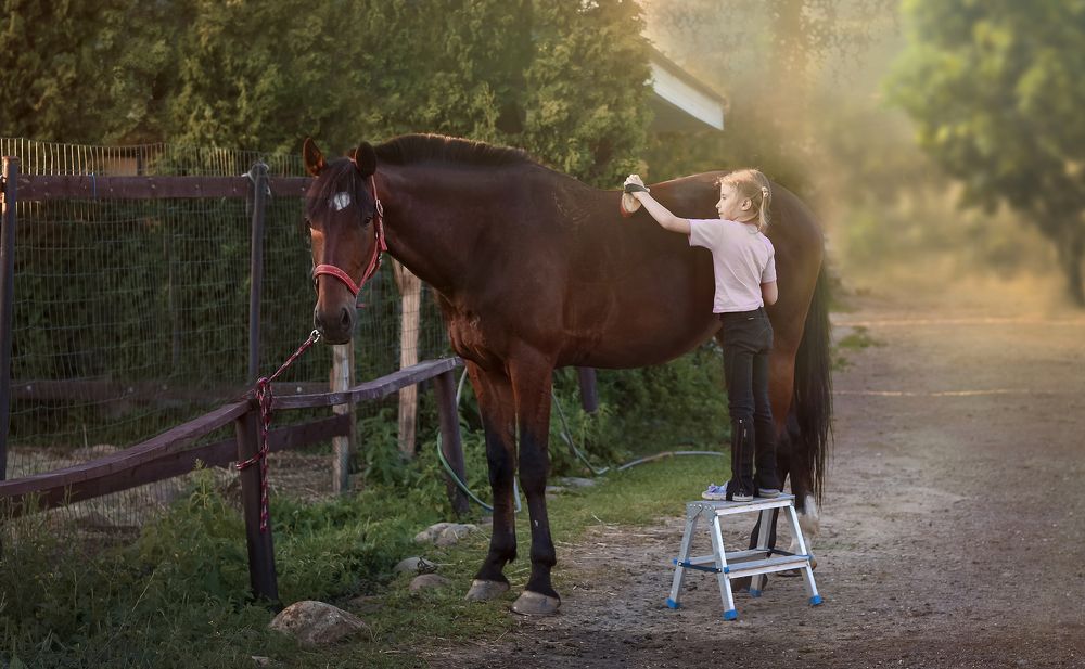 Аня и Конкурс