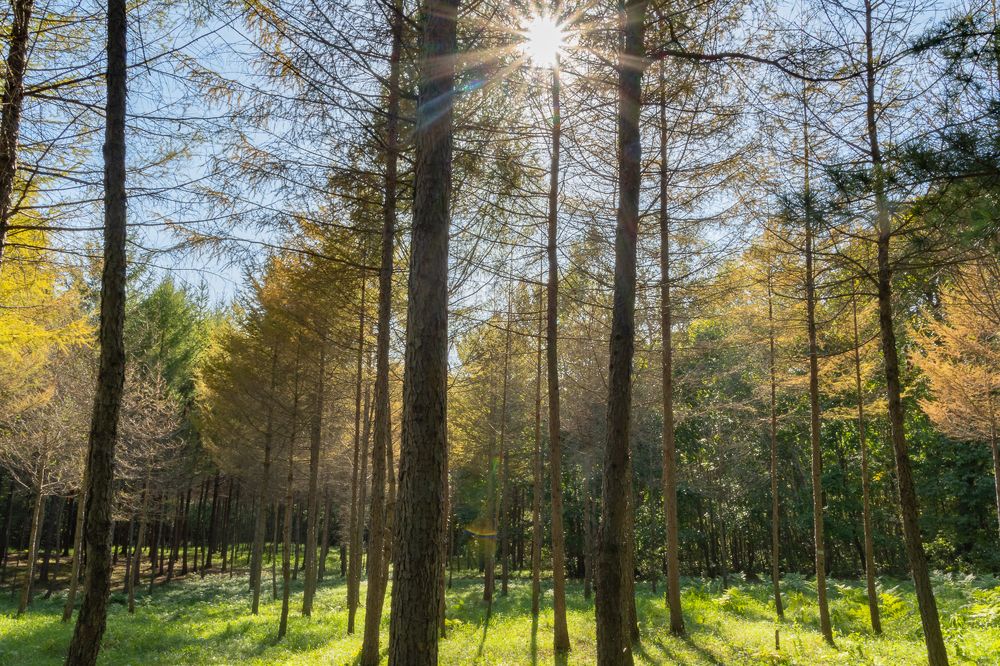 Photograph by Олег Волков