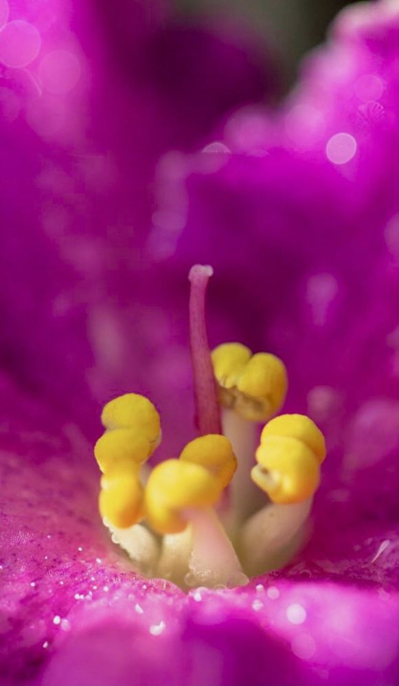 Фотография автора Ираида Гайфуллина