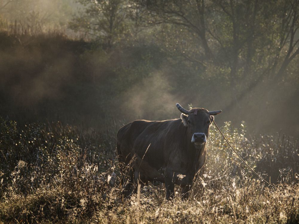 Photograph by Ignatov Yury