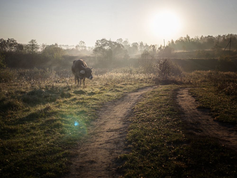 Photograph by Ignatov Yury