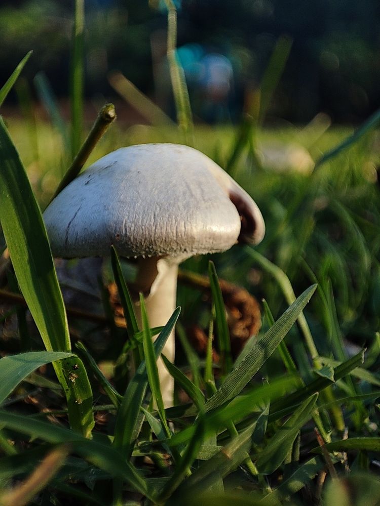Photo #9587616