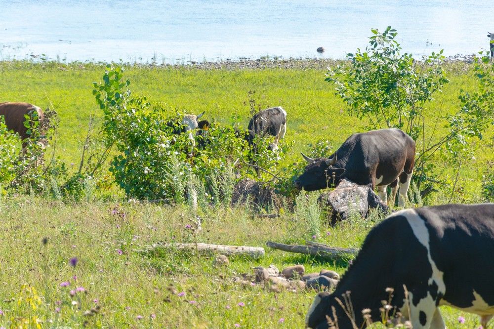 Photograph by Михаил Лавренков