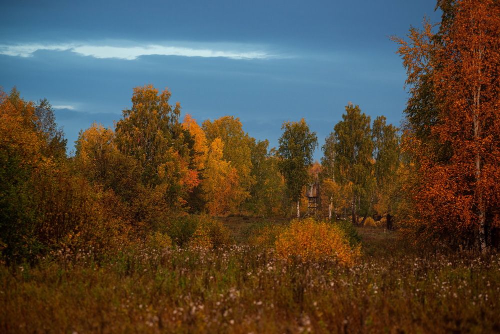 Photograph by Федор Фокин