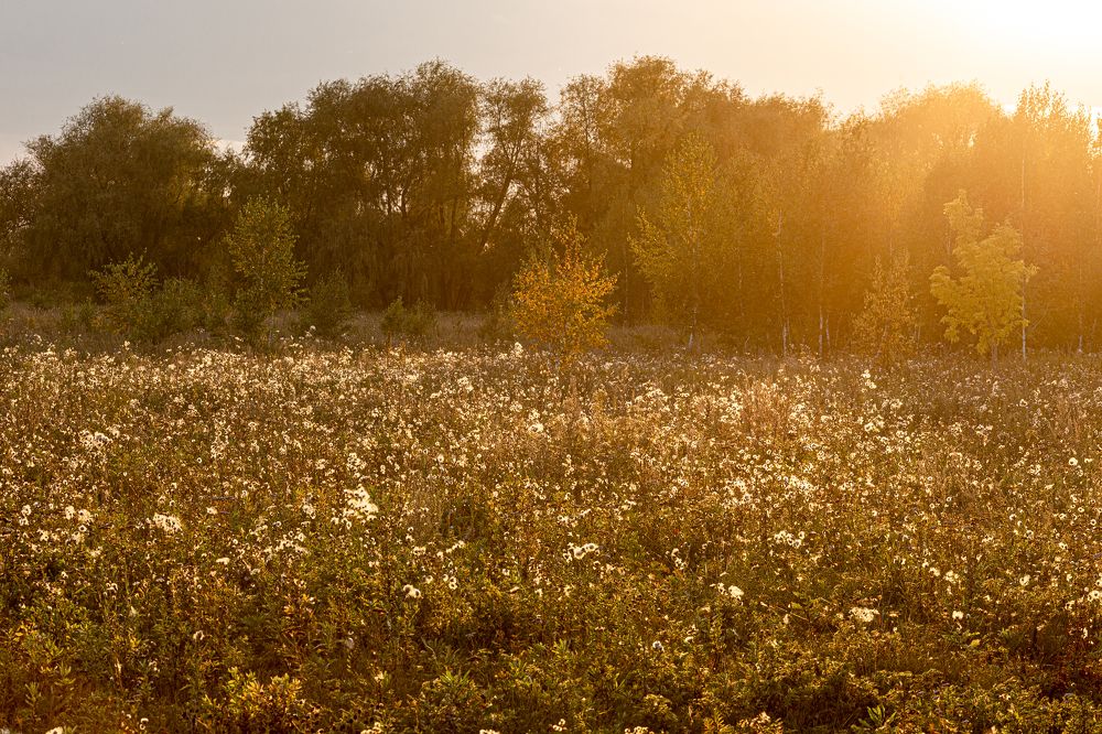 Photograph by Кутний Игорь