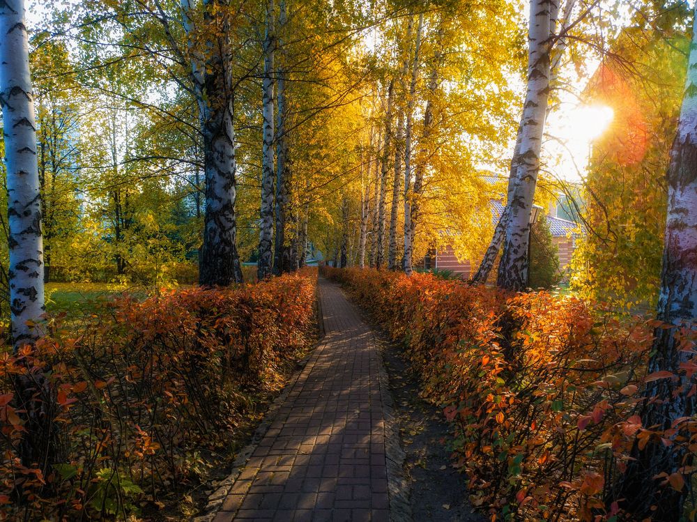Фотография автора Александр Андреянов