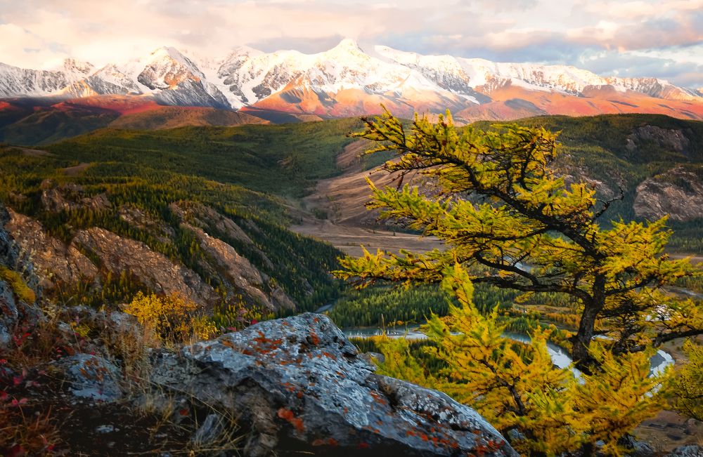 Photograph by Tatiana Meshcheryakova